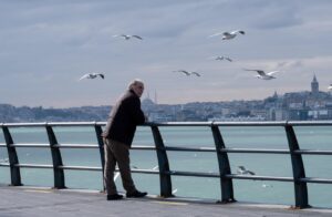 old man, sea, nature, seagulls, man, pier, boardwalk