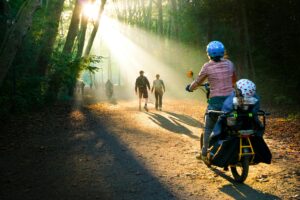 Cyclists and walkers enjoy a sunlit forest path with rays of sunshine illuminating their way.